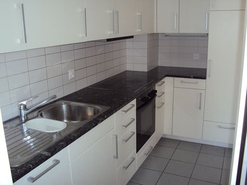 3 1/2-Zimmerwohnung, Parterre links (2)