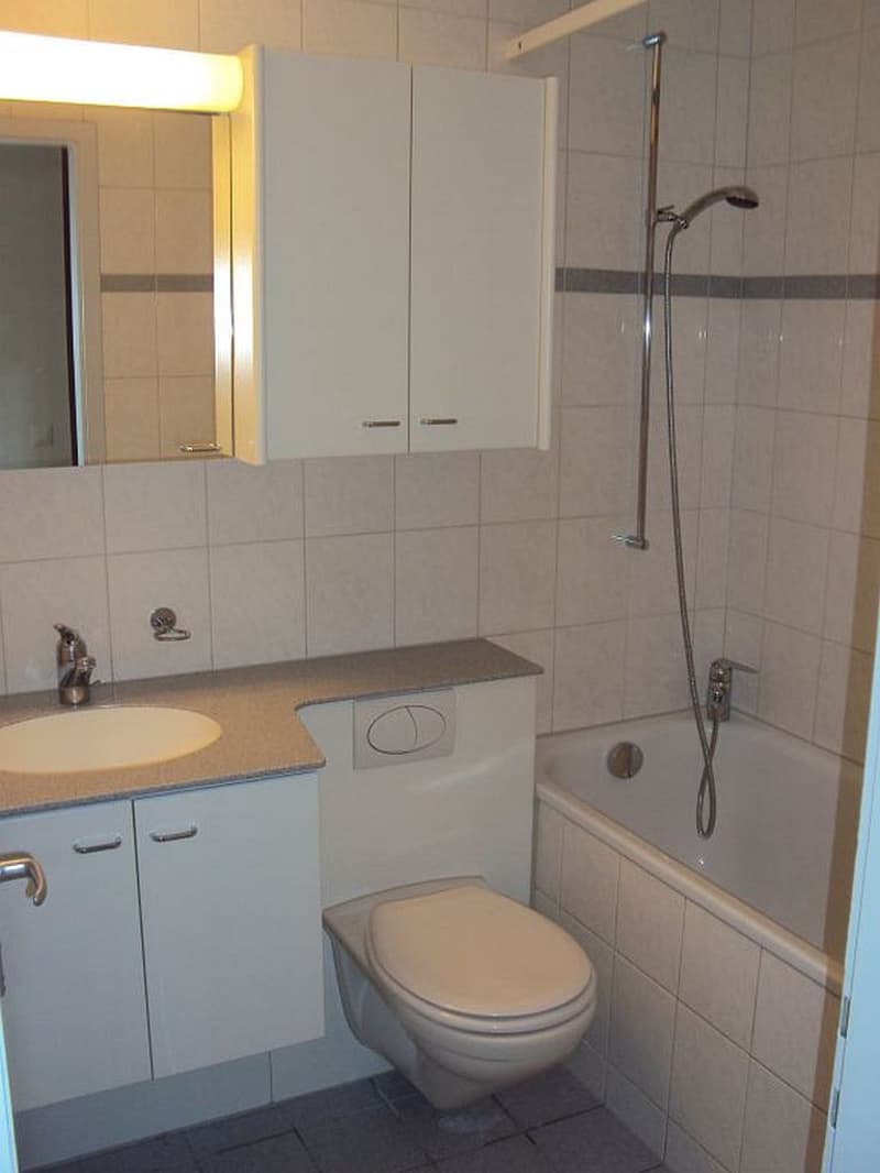 3 1/2-Zimmerwohnung, Parterre links (8)