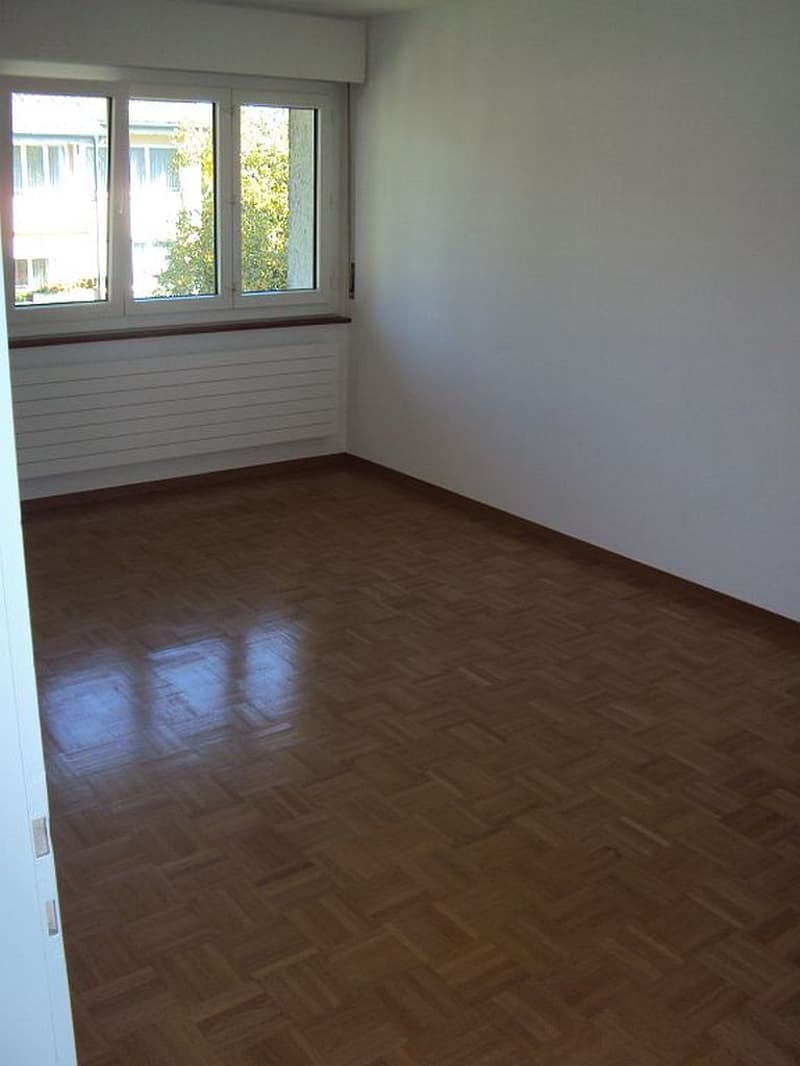 3 1/2-Zimmerwohnung, Parterre links (7)