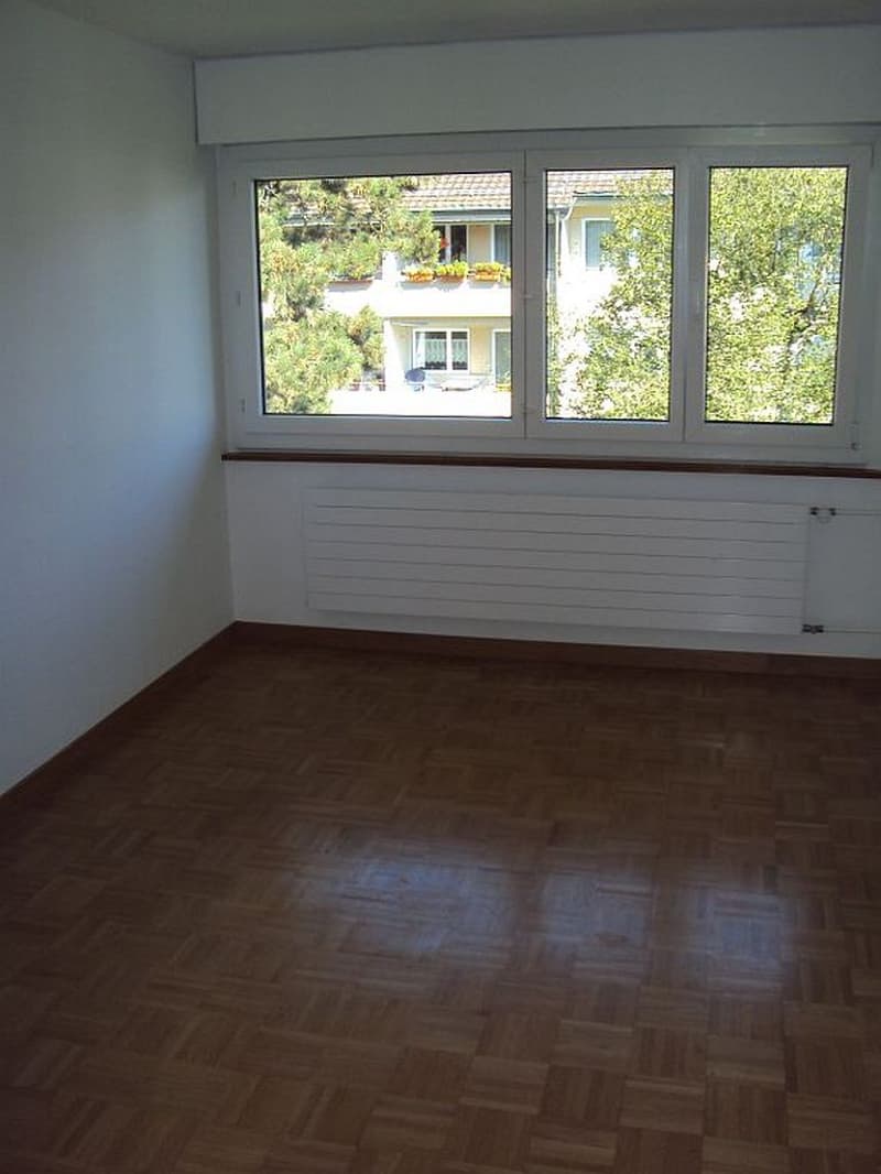 3 1/2-Zimmerwohnung, Parterre links (6)