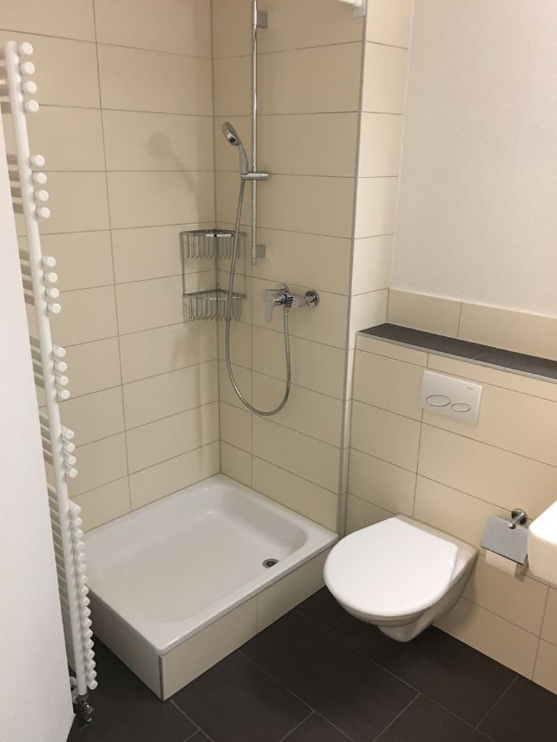 3-Zimmerwohnung, 2. Stock links, Minergie-P Standard (5)