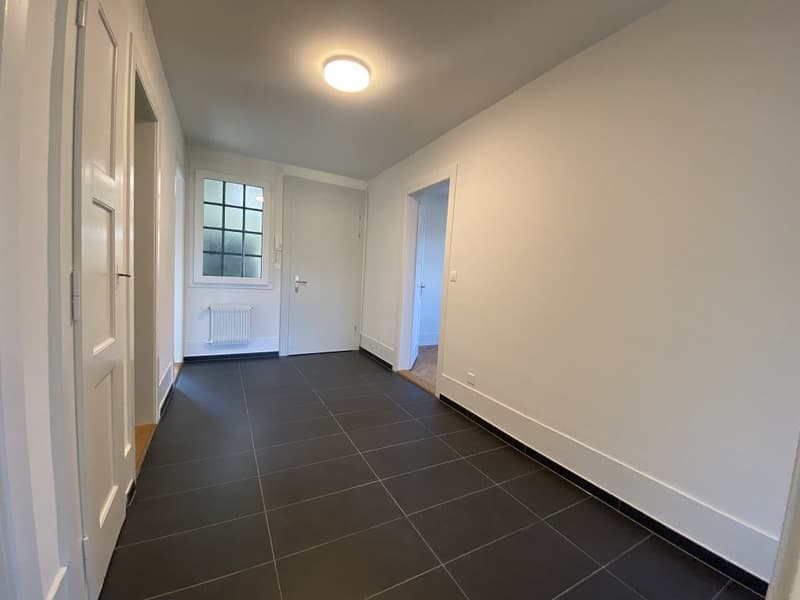 Frisch sanierte 3-Zimmerwohnung im 3. Obergeschoss (3)