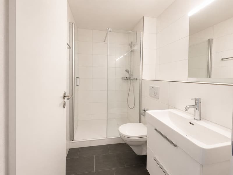 Schöne 4-Zimmerwohnung, 1. Stock rechts (8)