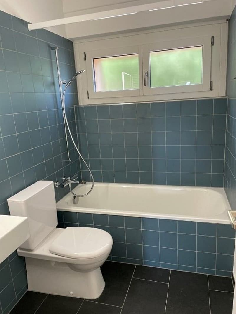 5-Zimmerwohnung, Doppelhaus-Hälfte (6)