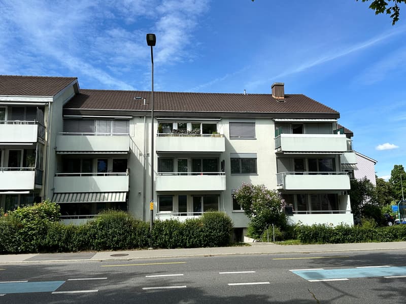 4 1/2-Zimmerwohnung, 3. Stock links (1)