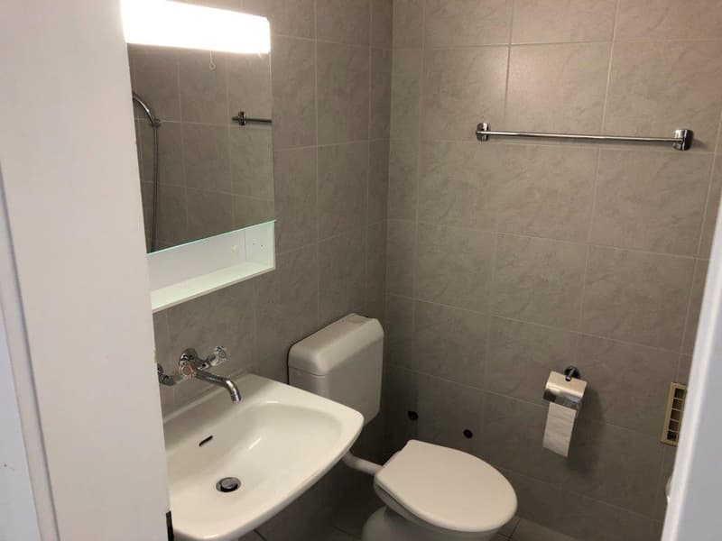 3-Zimmerwohnung, 1. Stock rechts (7)