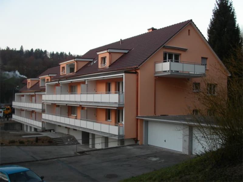 3 1/2-Zimmerwohnung, 1. Stock links (1)