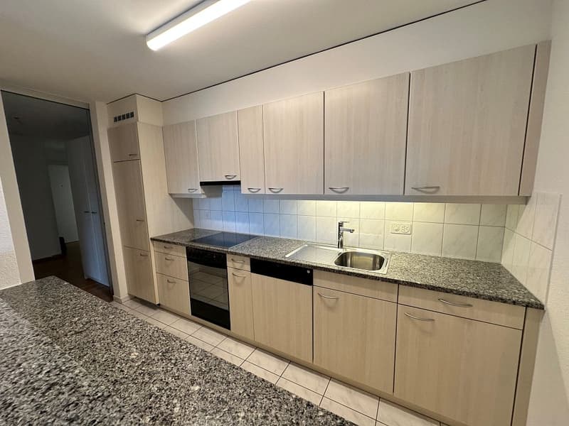 3 1/2-Zimmerwohnung, 1. Stock links (3)