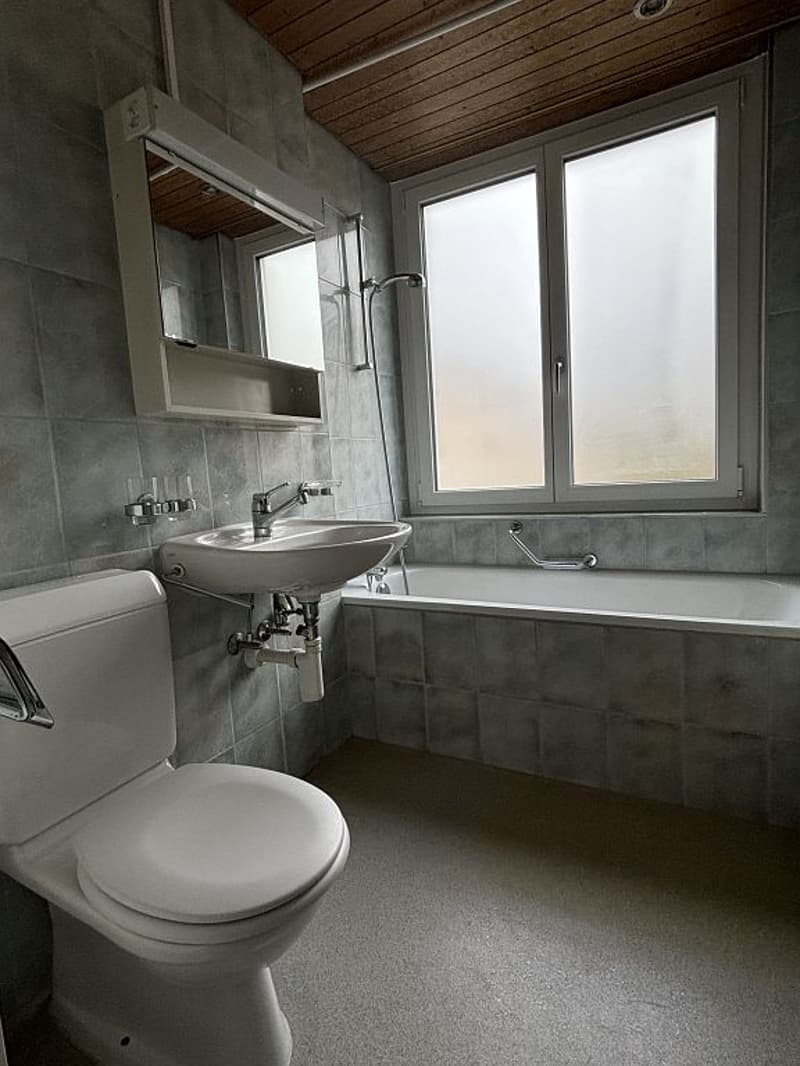 2- Zimmerwohnung, 1. Stock links (6)