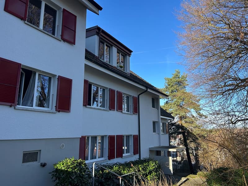2.5-Zimmerwohnung, 2. Stock rechts (1)