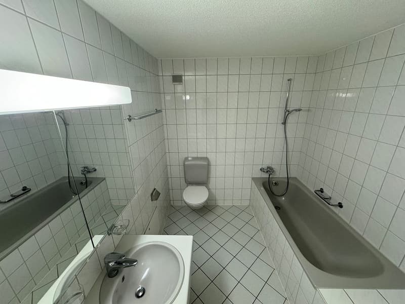 3 1/2-Zimmerwohnung, Parterre (10)