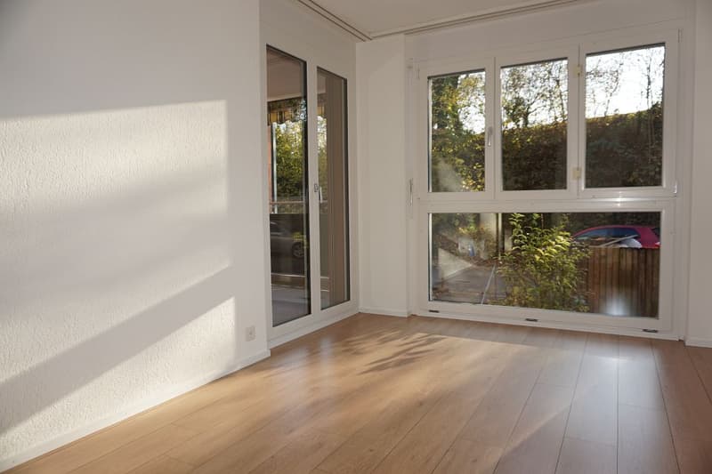 3 1/2-Zimmerwohnung, Parterre (8)