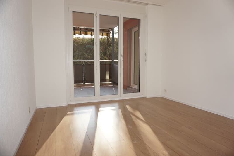 3 1/2-Zimmerwohnung, Parterre (9)