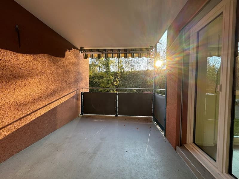 3 1/2-Zimmerwohnung, Parterre (11)