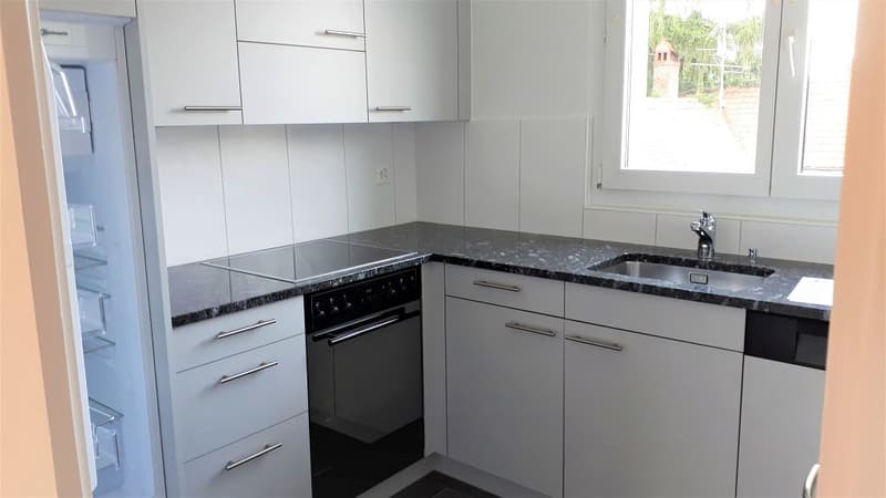 3 1/2-Zimmerwohnung, 2. Stock rechts (3)