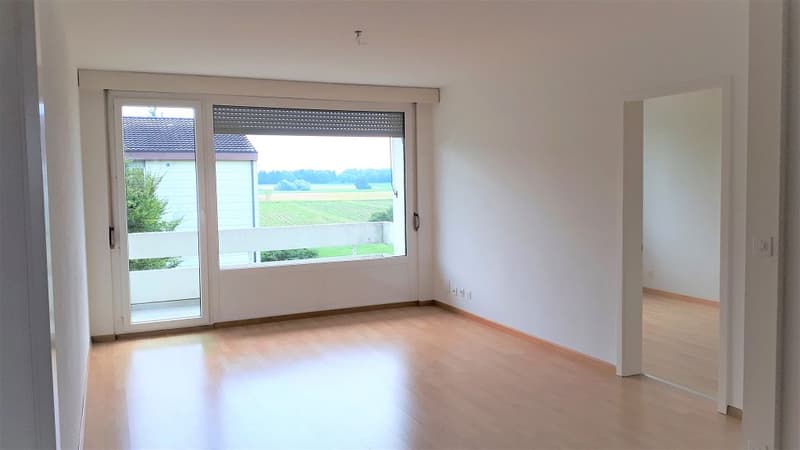 3 1/2-Zimmerwohnung, 2. Stock rechts (4)