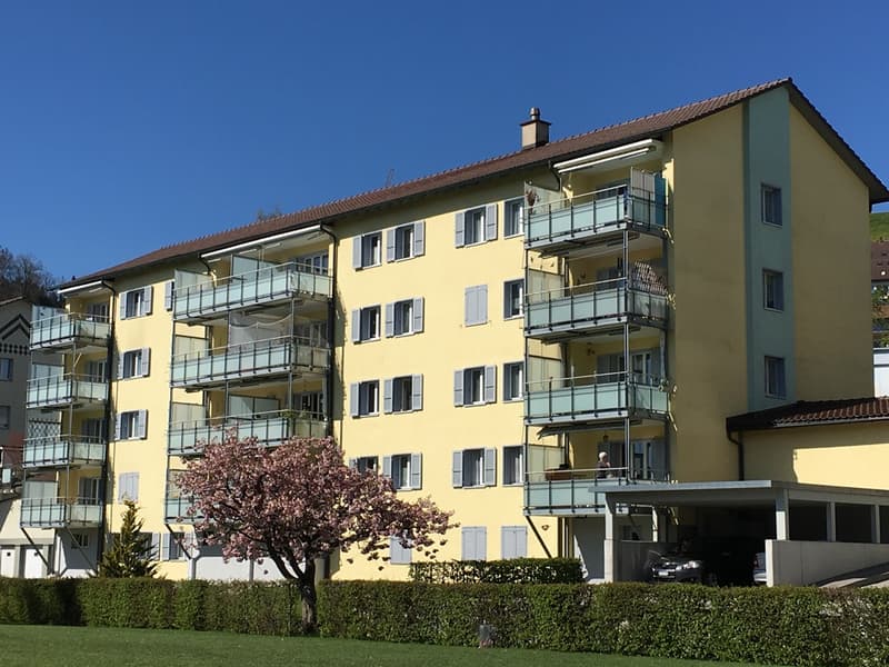 Grosszügige 4-Zimmerwohnung, 2. Stock rechts (1)
