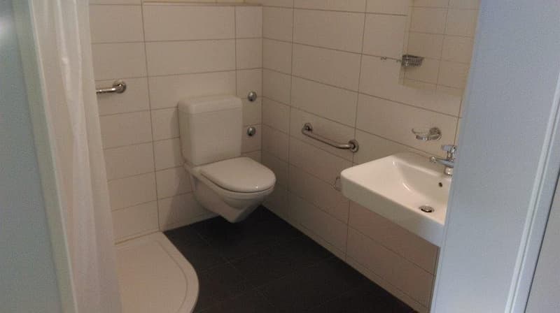 2 1/2-Zimmerwohnung, 2. Stock links (2)