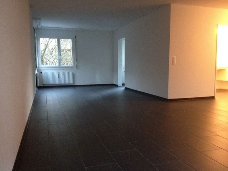 3 1/2-Zimmerwohnung, 1. Stock rechts (6)