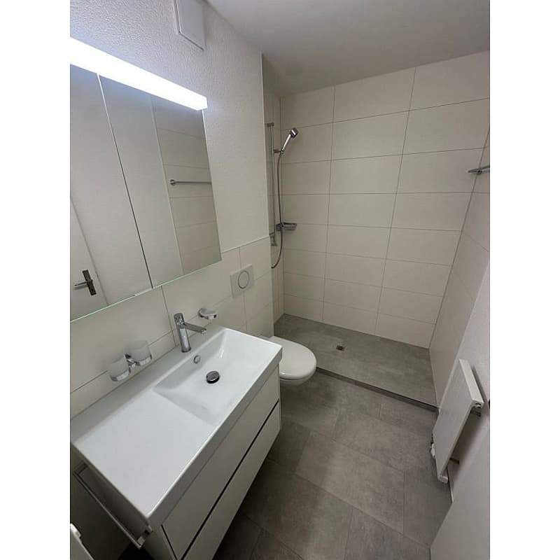 3 1/2 Zimmerwohnung, Parterre links (9)