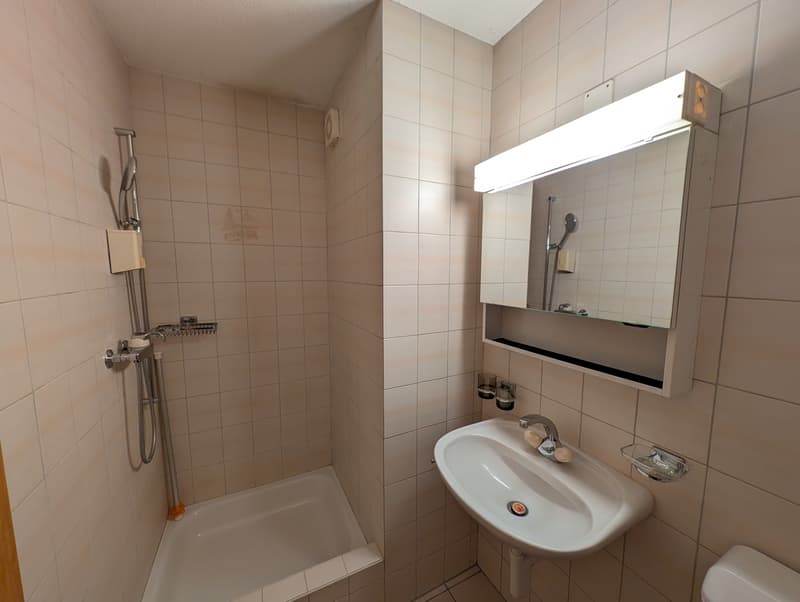 4.5-Zimmerwohnung, 1. Stock rechts (7)