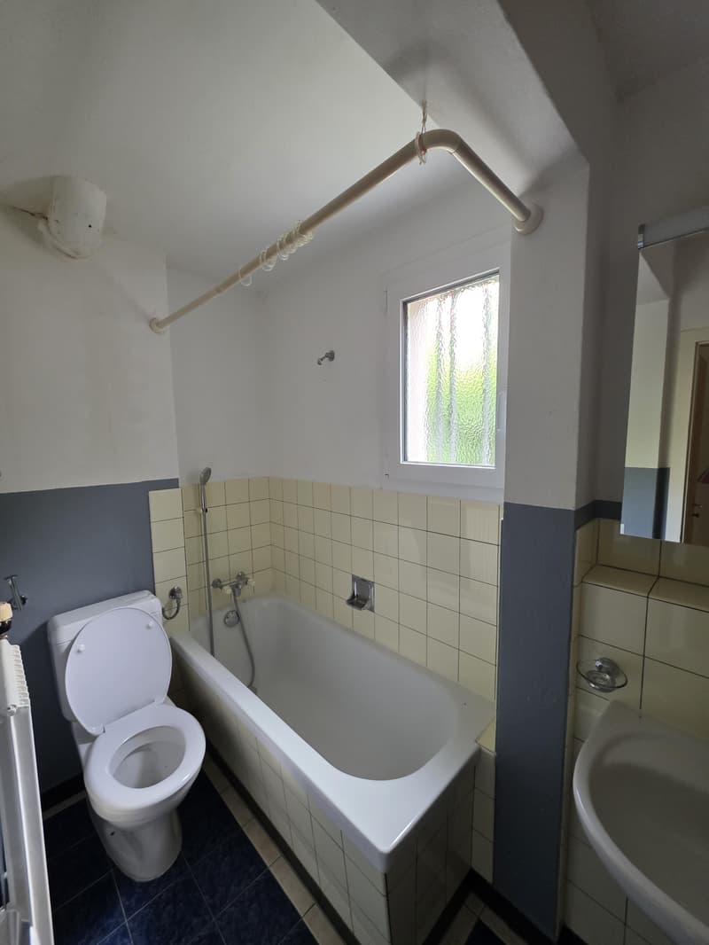 3.5-Zimmerwohnung, Hochparterre (4)