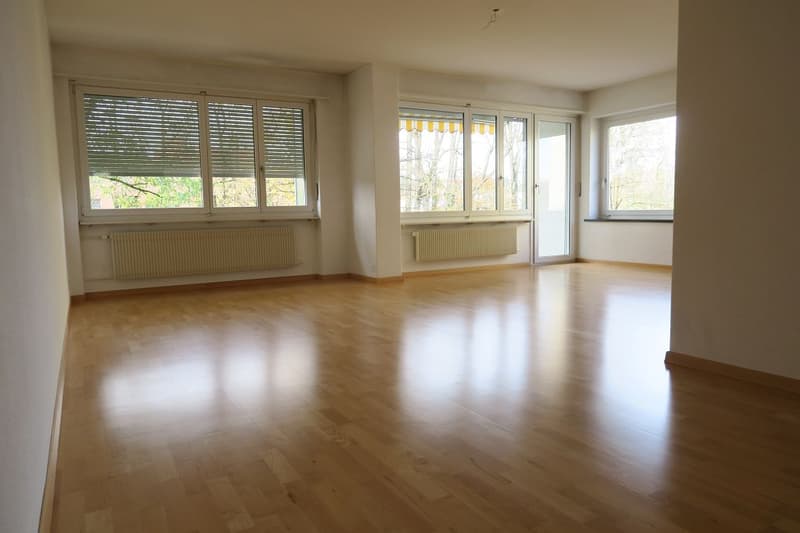 3 1/2-Zimmerwohnung, Parterre rechts (4)