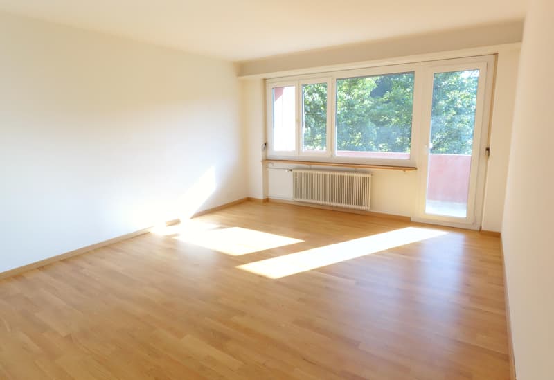 moderne 3-Zimmerwohnung, 1. Stock links (4)