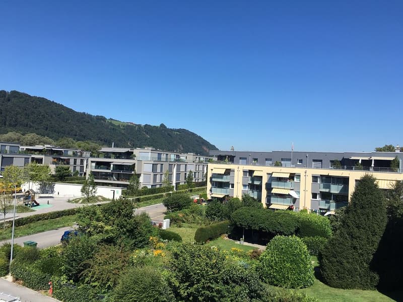 4 1/2-Zimmerwohnung, 2. Stock rechts (8)