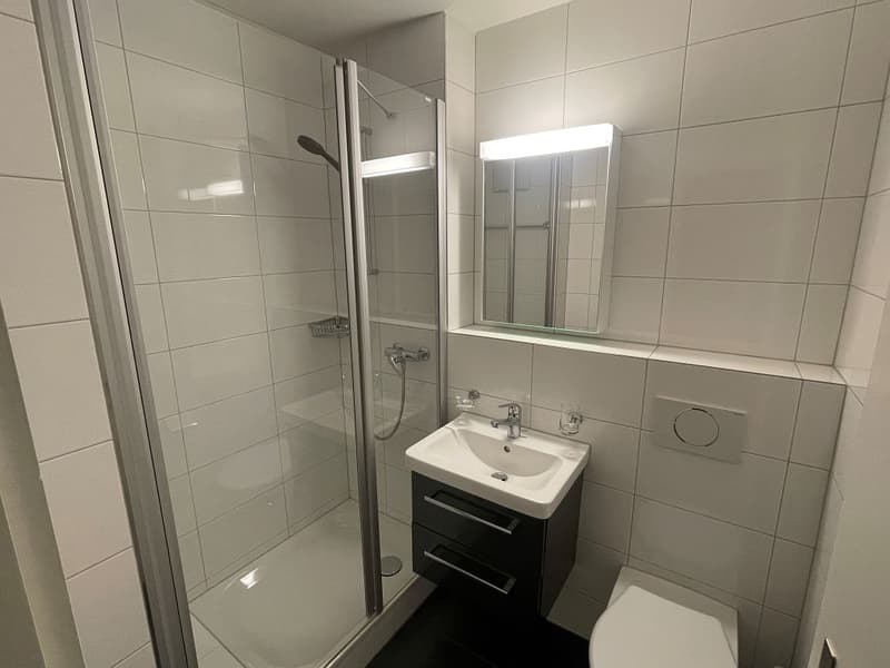 schöne 2-Zimmerwohnung in Biel (5)