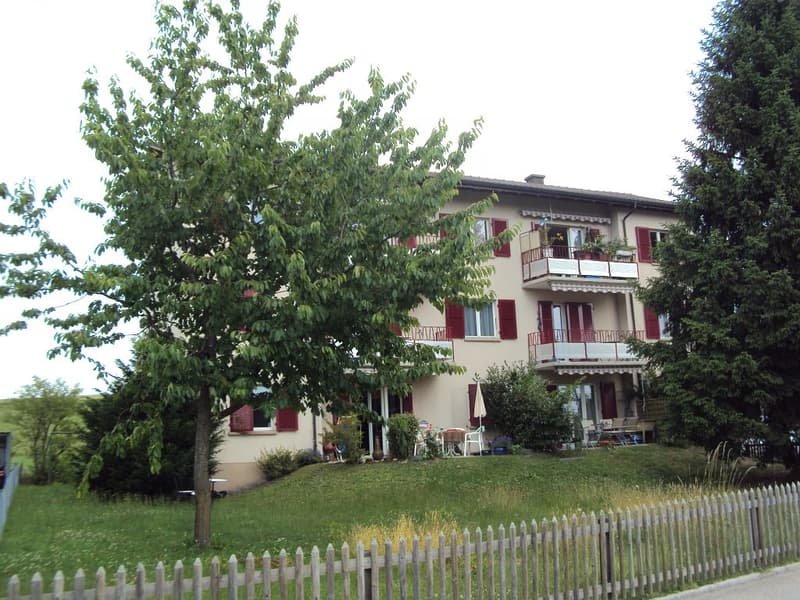 3-Zimmerwohnung, Parterre rechts (1)