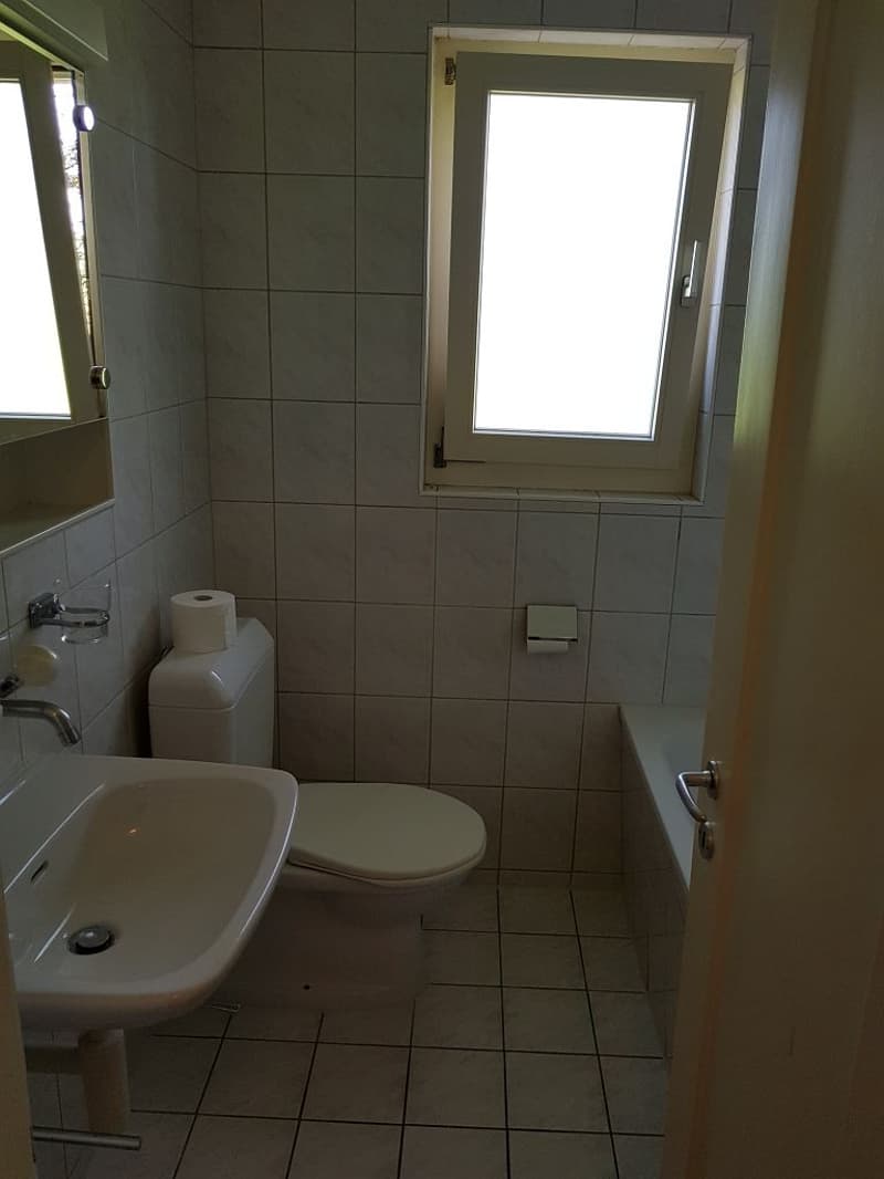 3-Zimmerwohnung, Parterre rechts (4)