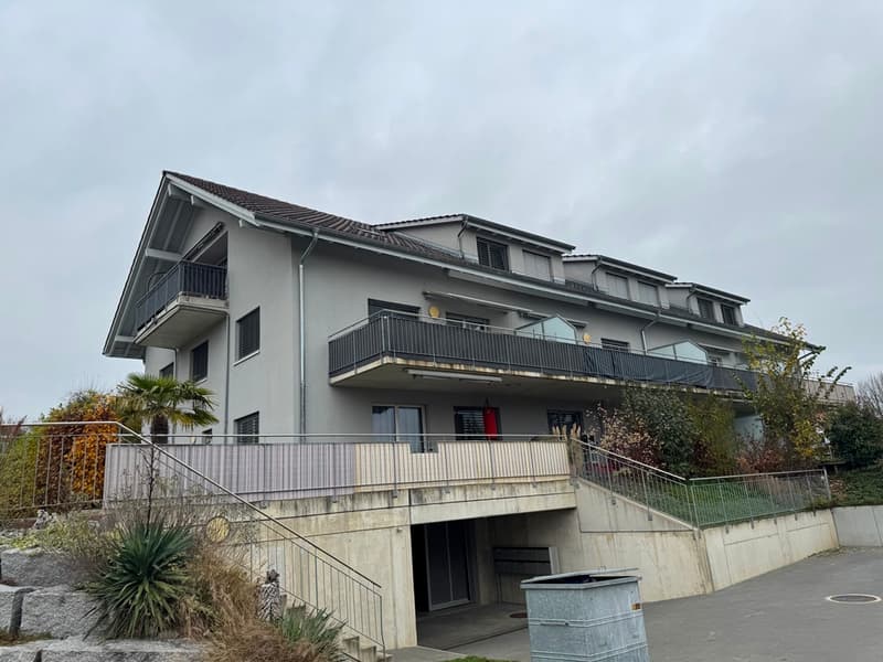 Schöne 3.5-Zimmerwohnung mit grossem Balkon (1)
