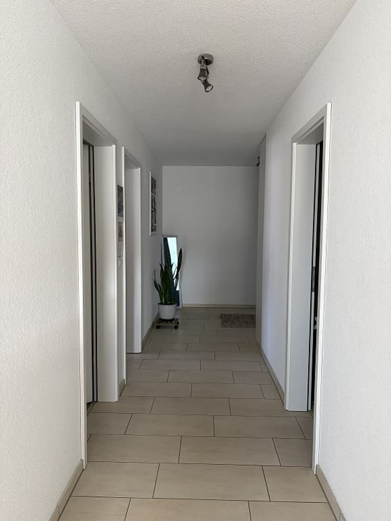 Schöne 3.5-Zimmerwohnung mit grossem Balkon (3)