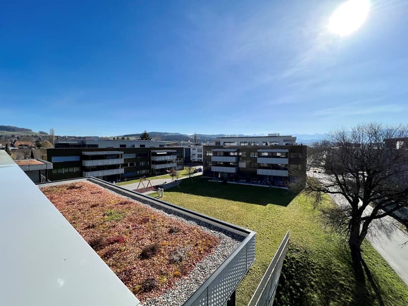4 1/2-Zimmerwohnung, 2. Stock rechts (1)