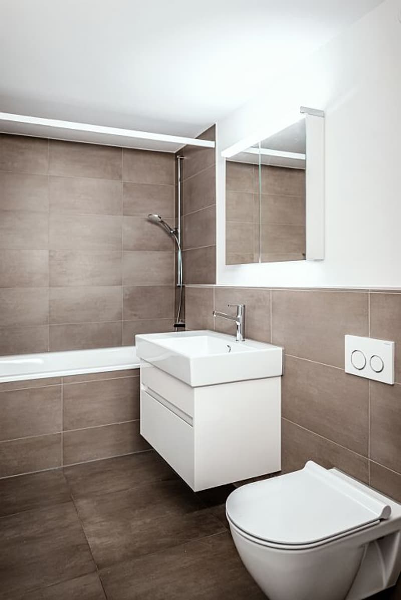 4 1/2-Zimmerwohnung, 2. Stock rechts (7)