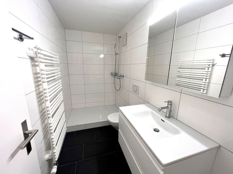 2-Zimmerwohnung im Dachstock (6)
