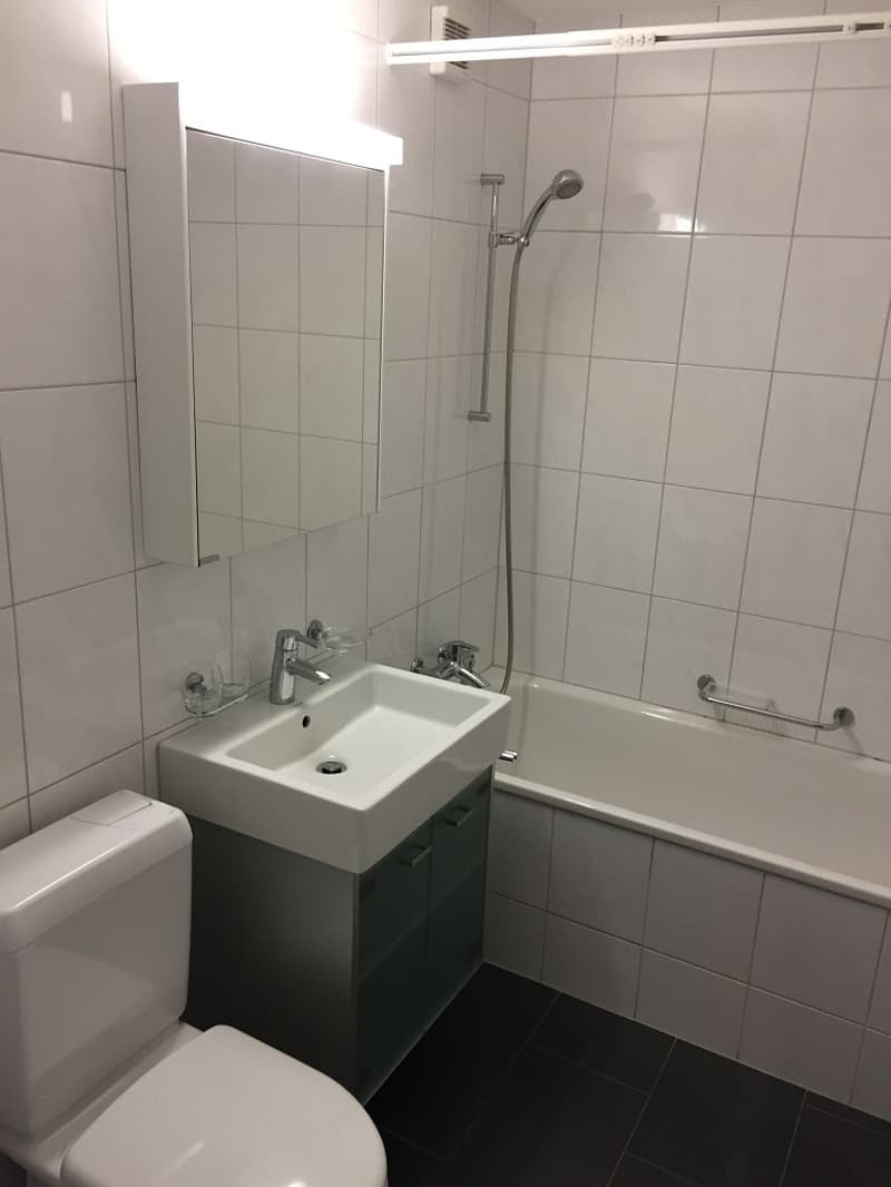 2 1/2-Zimmerwohnung, 1. Stock mitte (3)