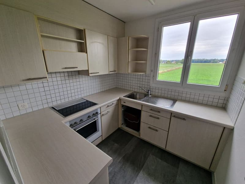 4 1/2-Zimmerwohnung, Parterre rechts (3)