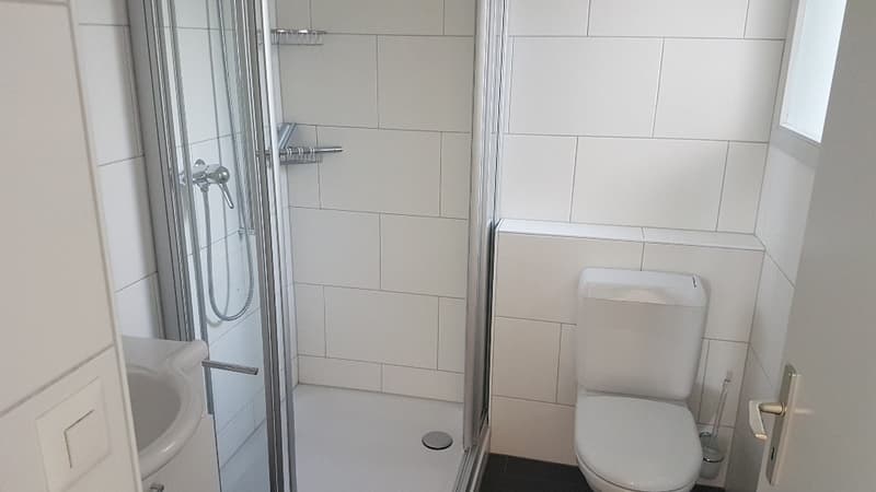 schöne 6 1/2-Zimmer-Maisonettewohnung (12)