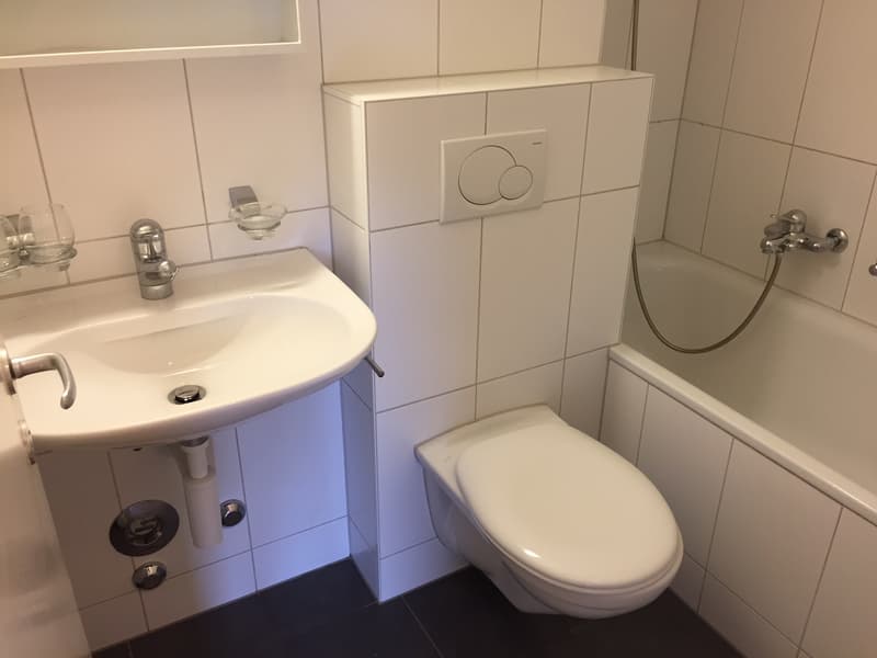 3-Zimmerwohnung, 3. Stock links (3)