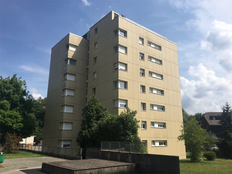 4 1/2-Zimmerwohnung, 1. Stock links (1)