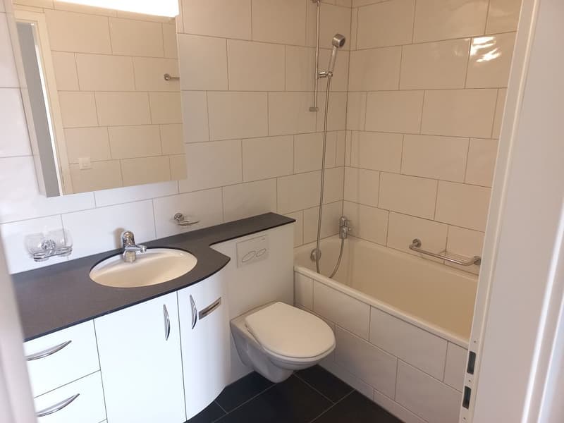 schöne 3-Zimmerwohnung, 6. Stock links (3)