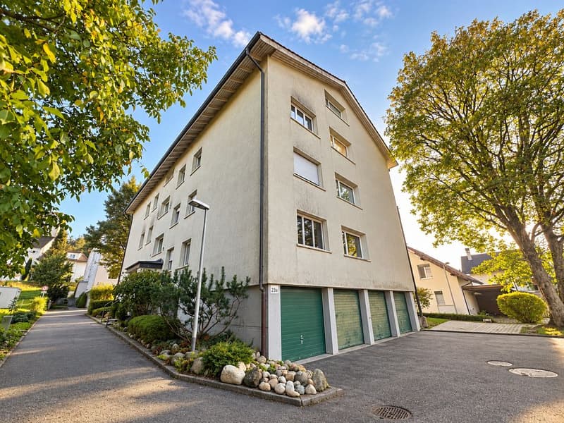 3 1/2-Zimmerwohnung, 2. Stock rechts (1)