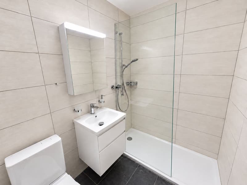 3 1/2-Zimmerwohnung, 2. Stock rechts (8)