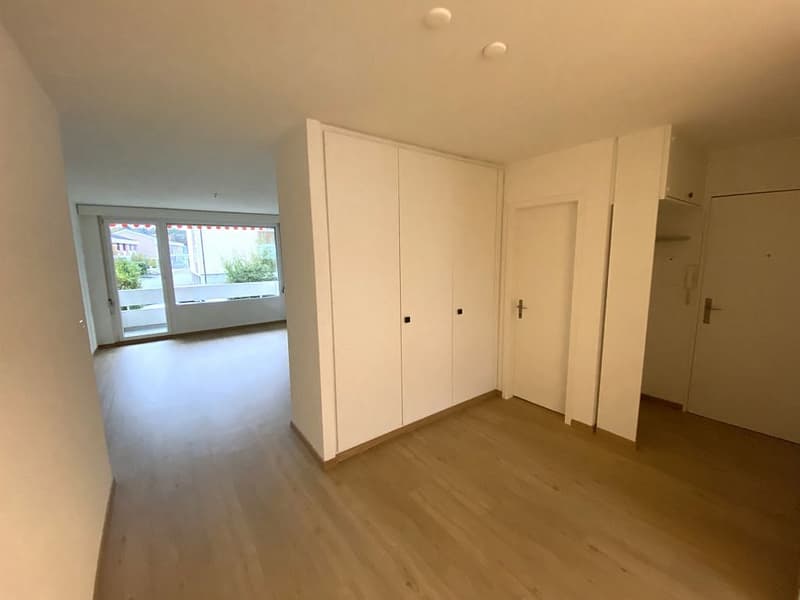 4 1/2-Zimmerwohnung, Parterre links (2)