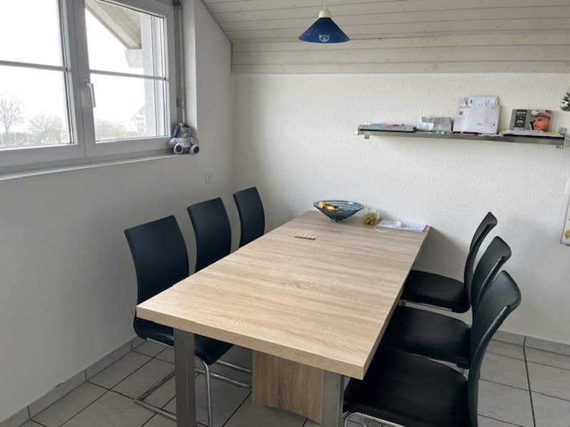 Spacious 4.5-room apartment with fireplace in Fischbach-Göslikon (3)