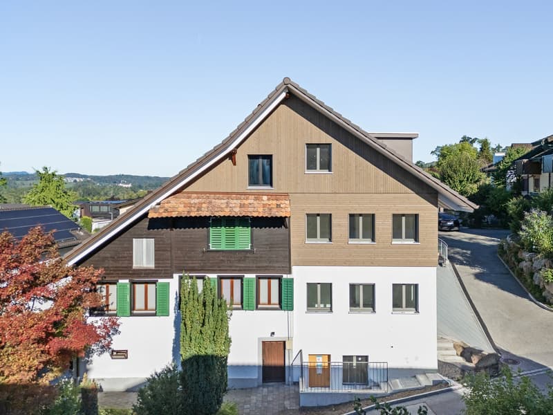 Ein Neubau-Einfamilienhaus, das Geschichte und Zukunft vereint (4)