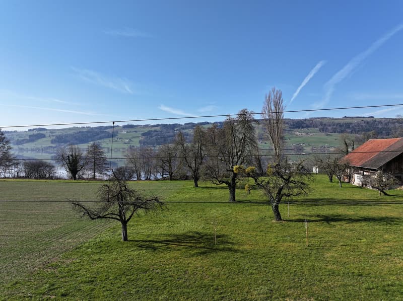 Blick von der Terrasse im 1.OG - Richtung Baldeggersee