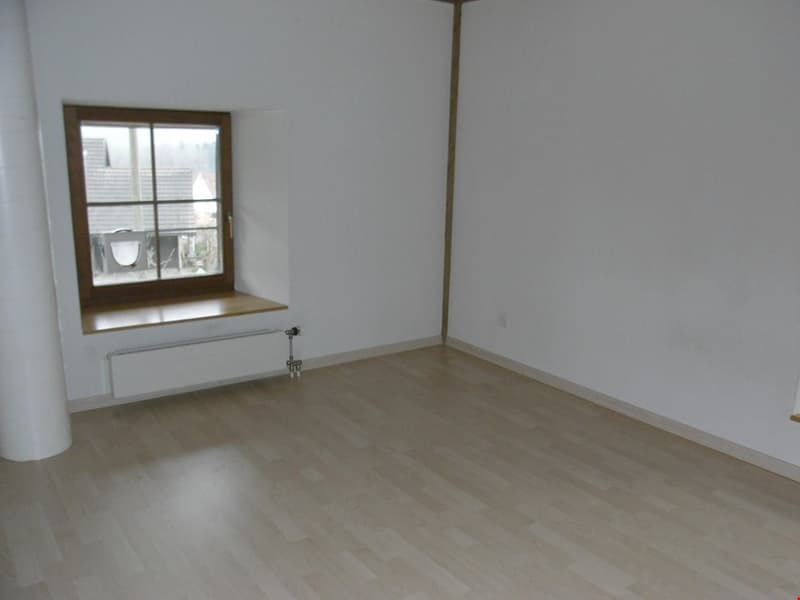 Panoramic view from the 5.5-room farmhouse part (12)